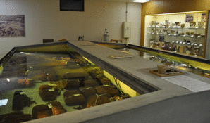 ちかもり水中保存