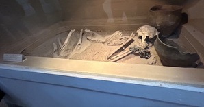 ブログ用S__4415531