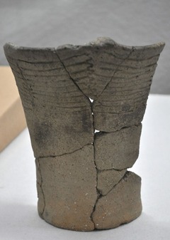 DSC_0472志賀里蛇