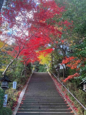 一言主神社参道
