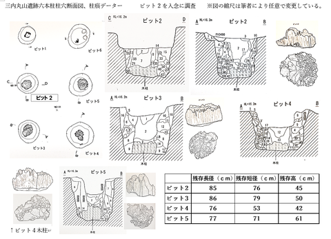 三内丸山ピット