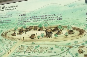 IMG-6419