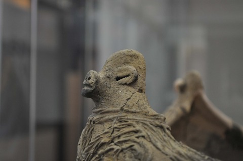 安中イノシシアップ