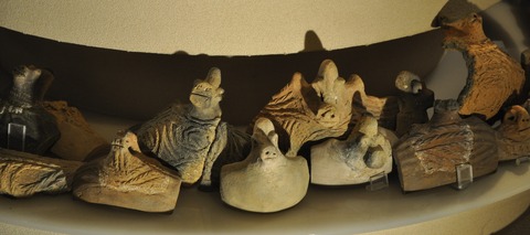 安中イノシシ1列