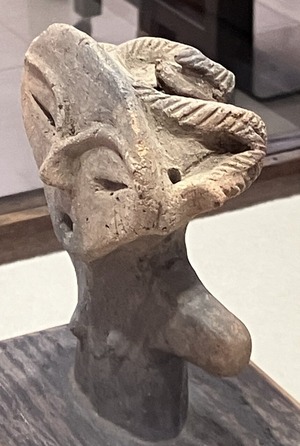 IMG_0460頭蛇　横から