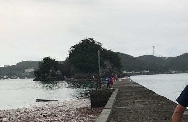 下田港西防波堤で釣りはアオリイカが釣れてたけど ゴンズイだらけ 釣って食べたい釣行記