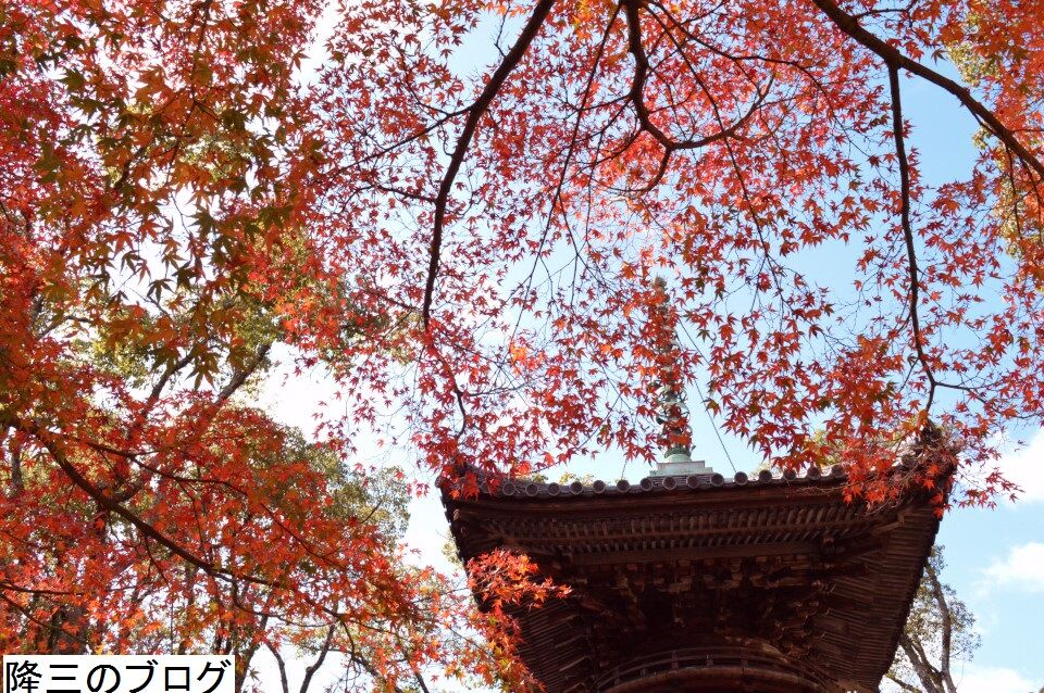 19年12月12日 隆三のブログ 19年12月12日 隆三のブログ