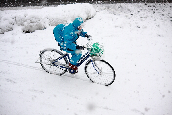 雪 自転車