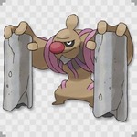 格闘ポケモン対策01