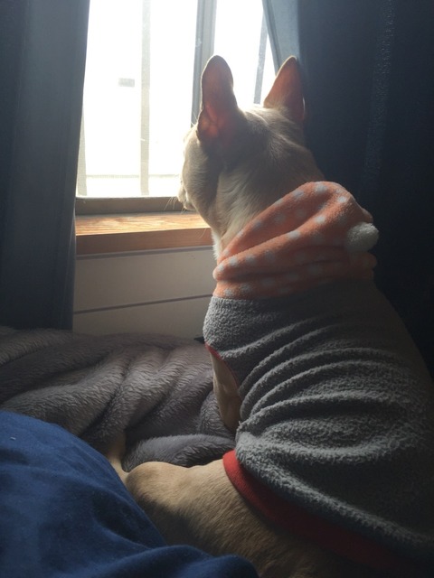 2016-03-13-10-14-08