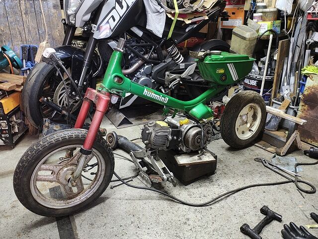 IMG_20251107_144323794_HDR