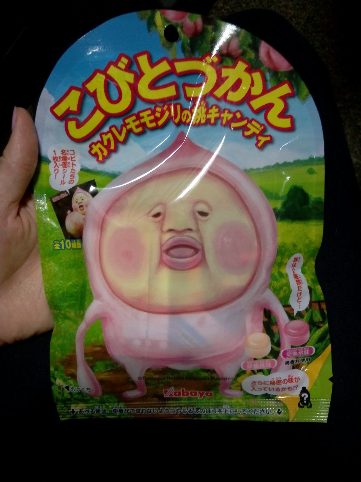 イヤシミドリバネ Salon De Fashion