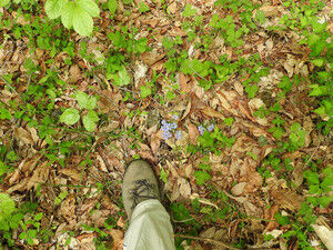 Dscn2256_3 Dscn2256_3