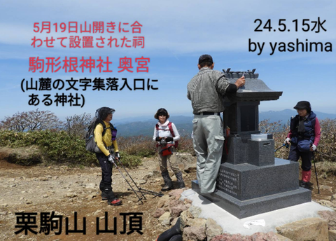 画像5