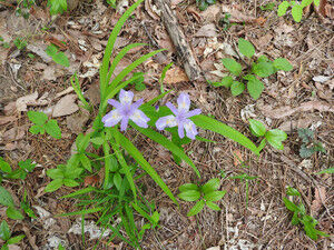Dscn2294_2 Dscn2294_2