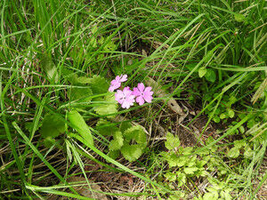 Dscn2320_4 Dscn2320_4