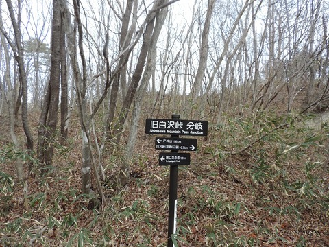 DSCN2294