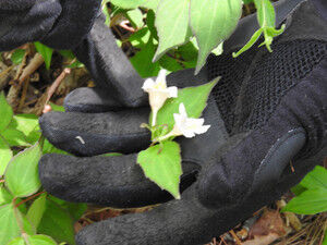 Dscn2270_3 Dscn2270_3