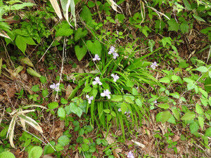 Dscn2254_2 Dscn2254_2