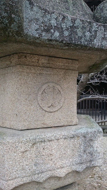 06