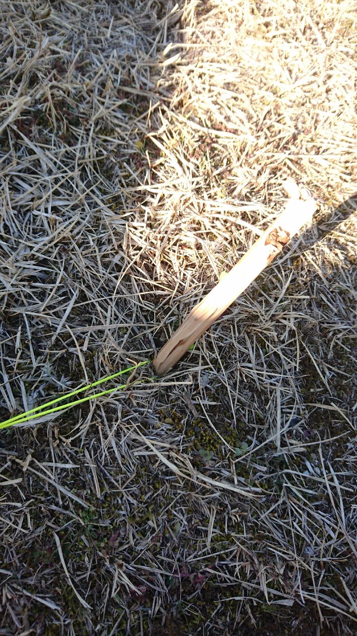 19年02月 名古屋発バイクツーリング また り日記