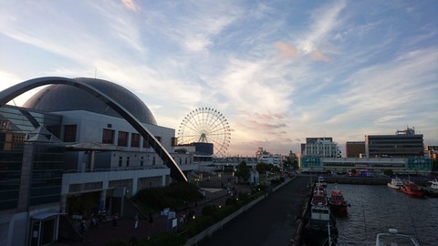 DSC_1206