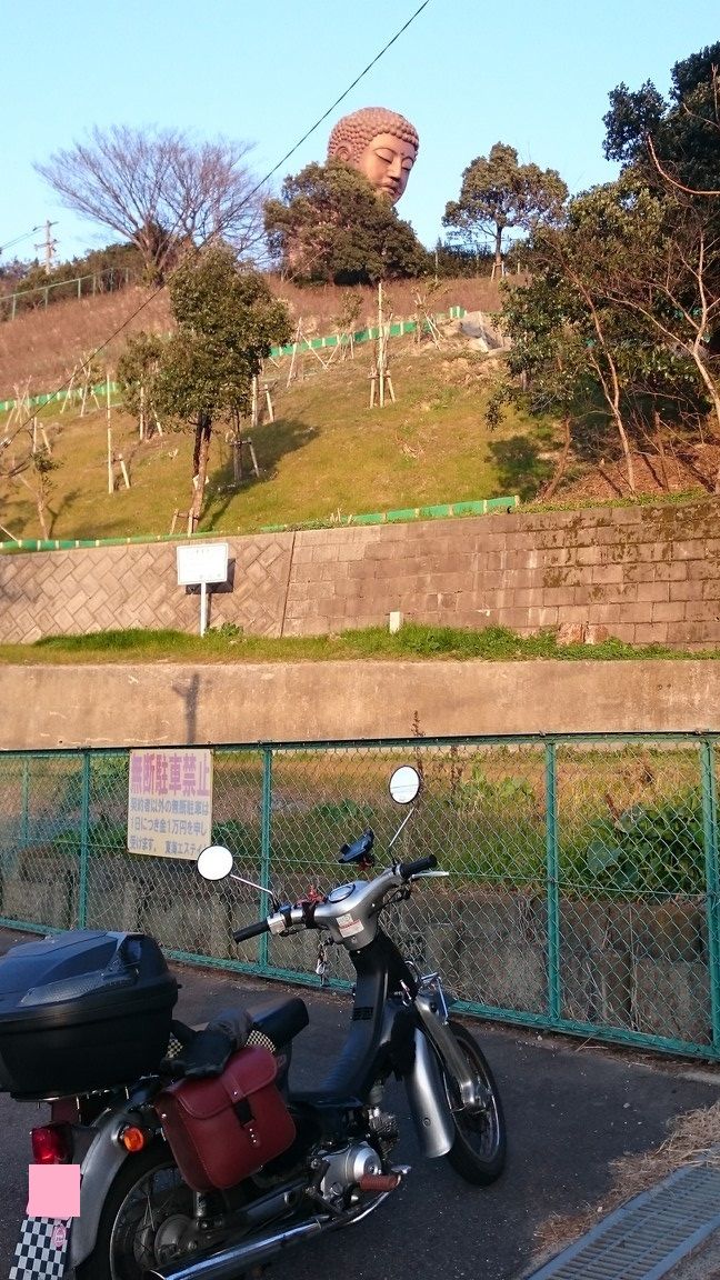 知多半島夕暮れ散歩 聚楽園 新舞子マリンパーク 大野城 常滑の街 愛知県知多市 常滑市 また り日記 名古屋発バイク釣 りんぐ リトルカブとnc700xでのツーリングまとめ 知多半島夕暮れ散歩 聚楽園 新舞子マリンパーク 大野城 常滑の街 愛知県知多市 常滑市 また り日記 名古屋発バイク釣 りんぐ リトルカブとnc700xでのツーリングまとめ