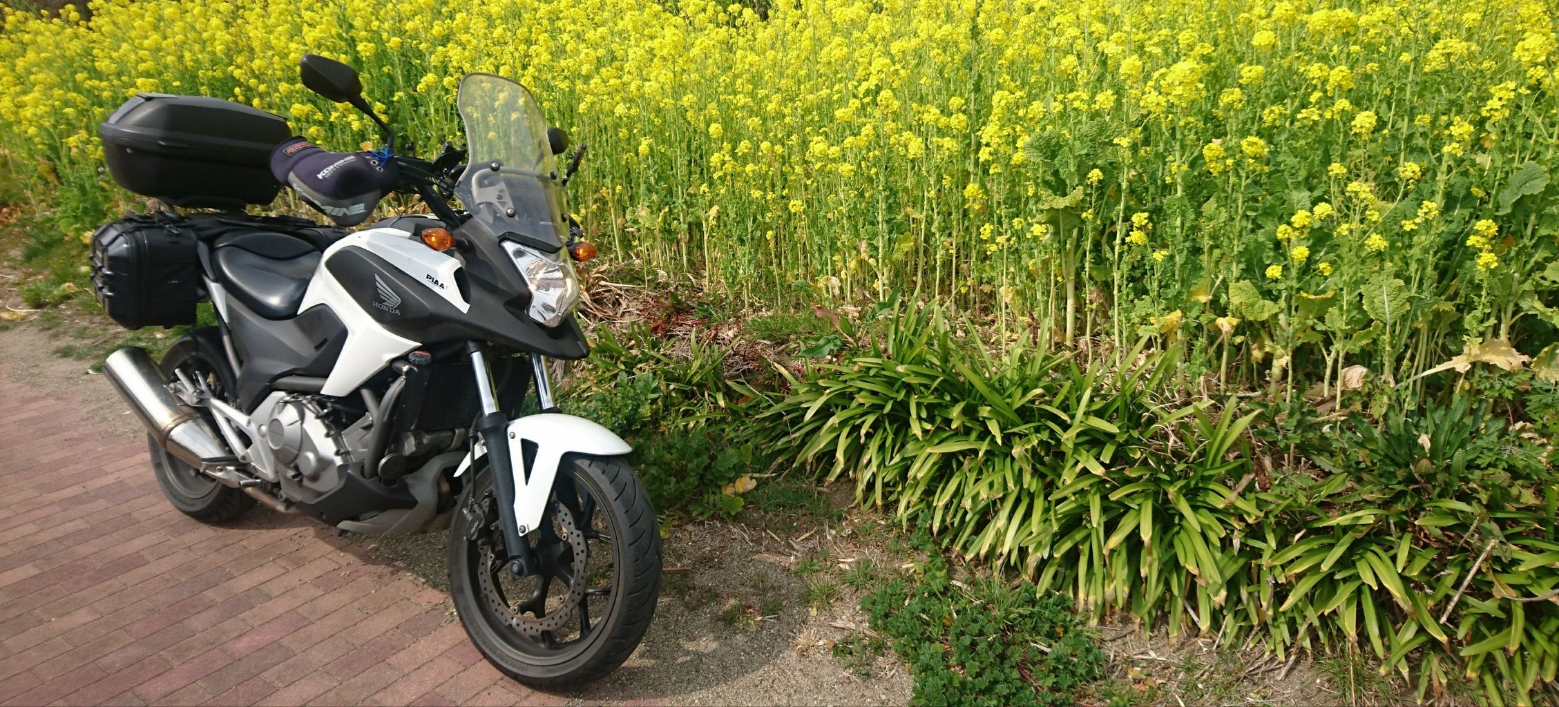 19年02月 名古屋発バイクツーリング また り日記