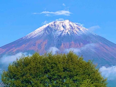 IMG_6781