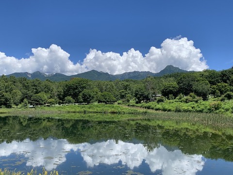 夏の八ヶ岳