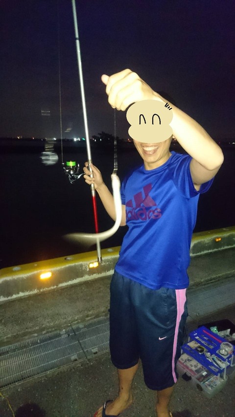 10173096446282