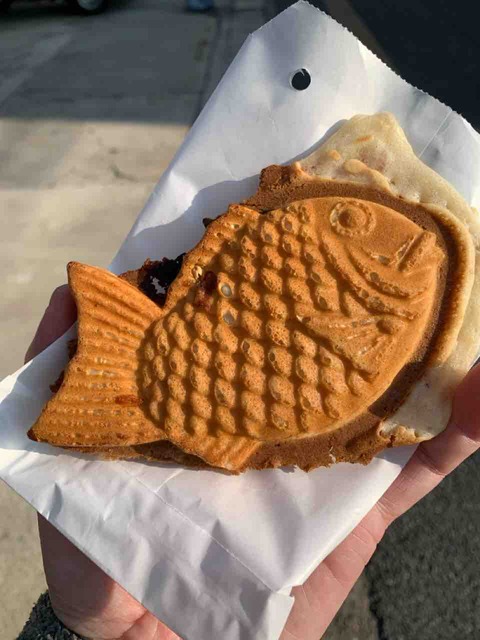 IMG_2203
