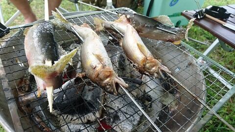 8月あゆ