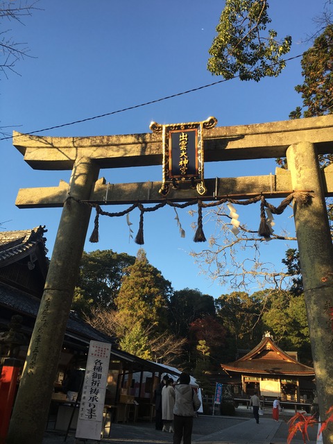 06
