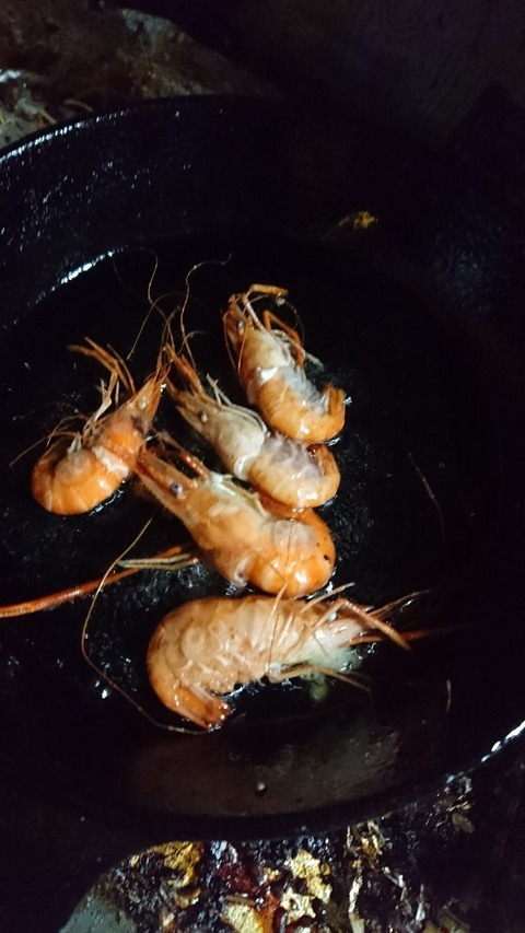 8月夏の風物詩テナガエビ釣り