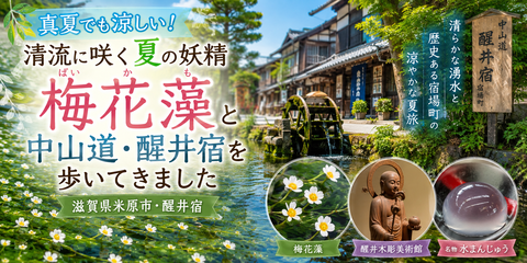 74907f83-c787-422a-9cbb-4fbcf4b3cb26