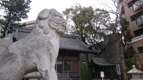 09