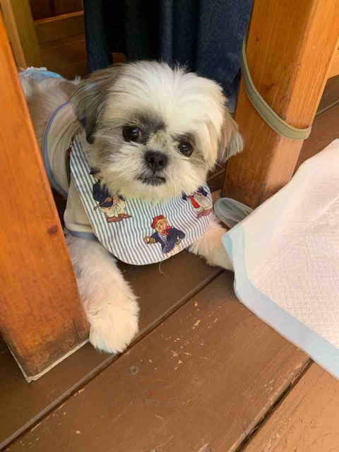 IMG_0915