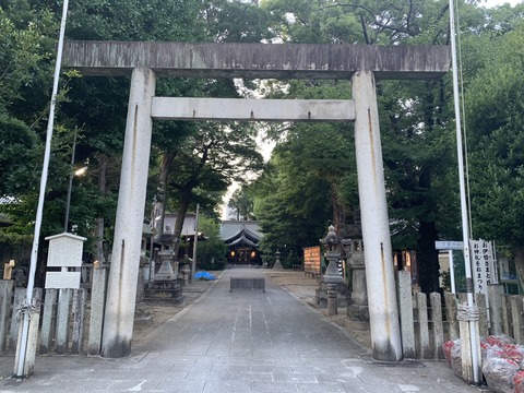 S__110141448