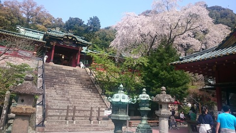 2018春に訪問したときは桜が満開でした