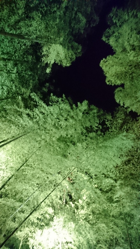 DSC_1377