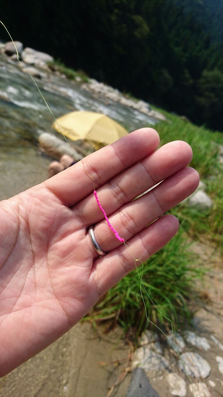 矢作川支流にてアユの友釣りを初体験 岐阜県恵那市 また り日記 名古屋発バイク釣 りんぐ リトルカブとnc７００xでのツーリングまとめ