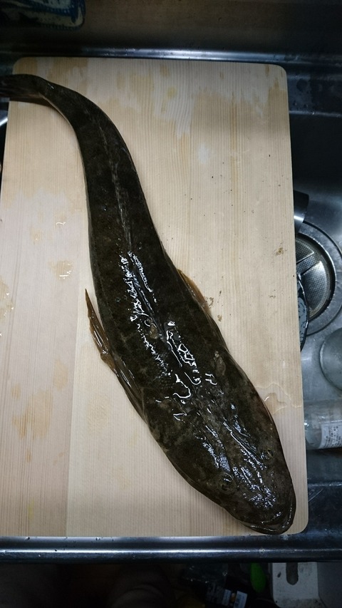 DSC_1500