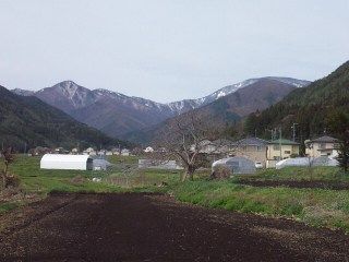 イメージ 6