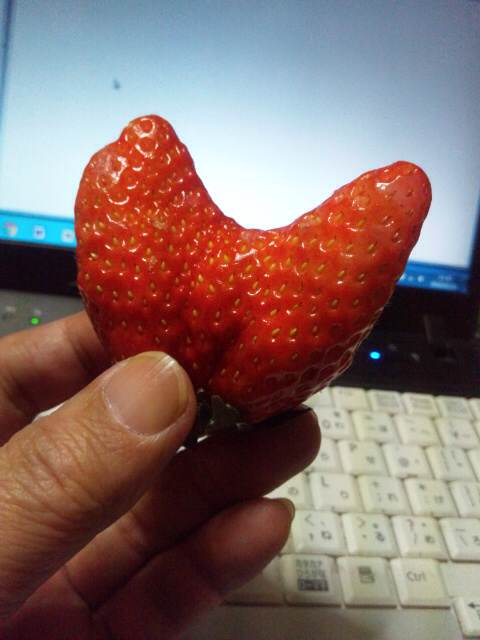 イメージ 1