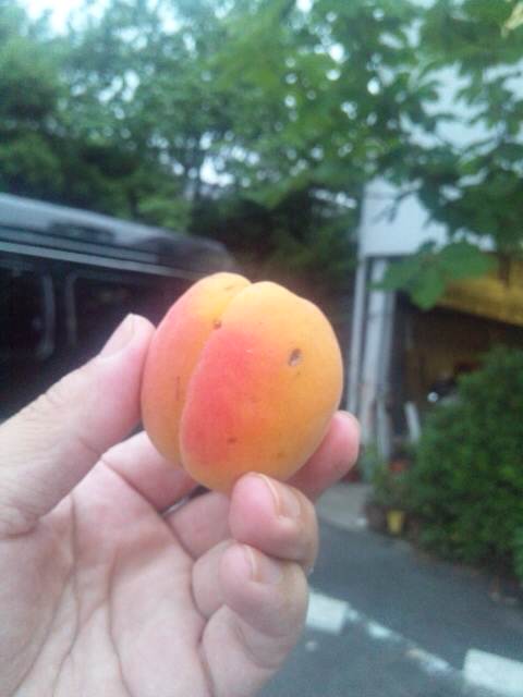 イメージ 1