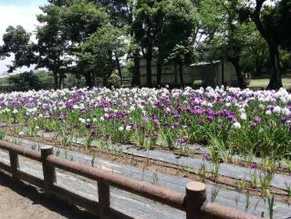 イメージ 8