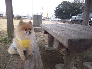 イメージ 5