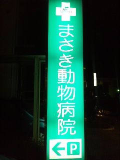 イメージ 2