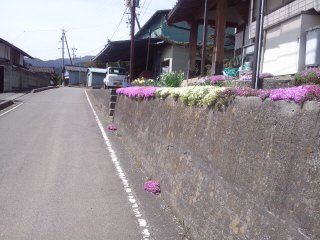 イメージ 15